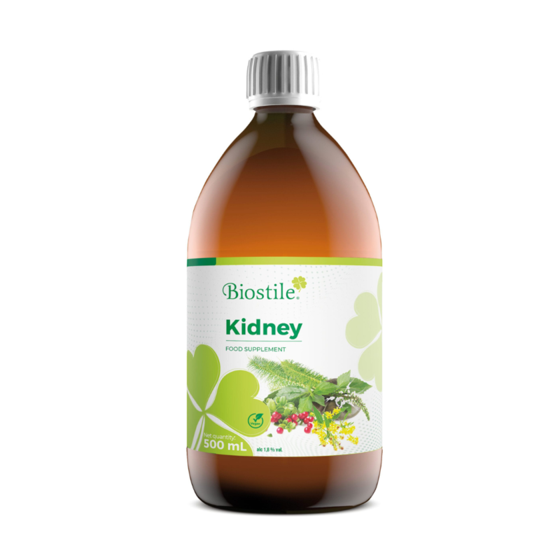 Kidney