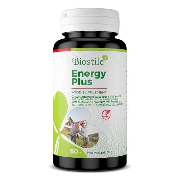 Energy Plus