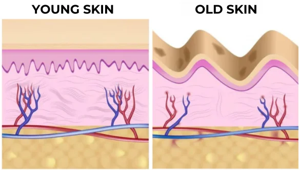 All-day anti-aging package - for continuous rejuvenating care