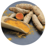 Sunrise Rejuvenation