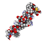 Sunrise Rejuvenation