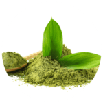 Sunrise Rejuvenation