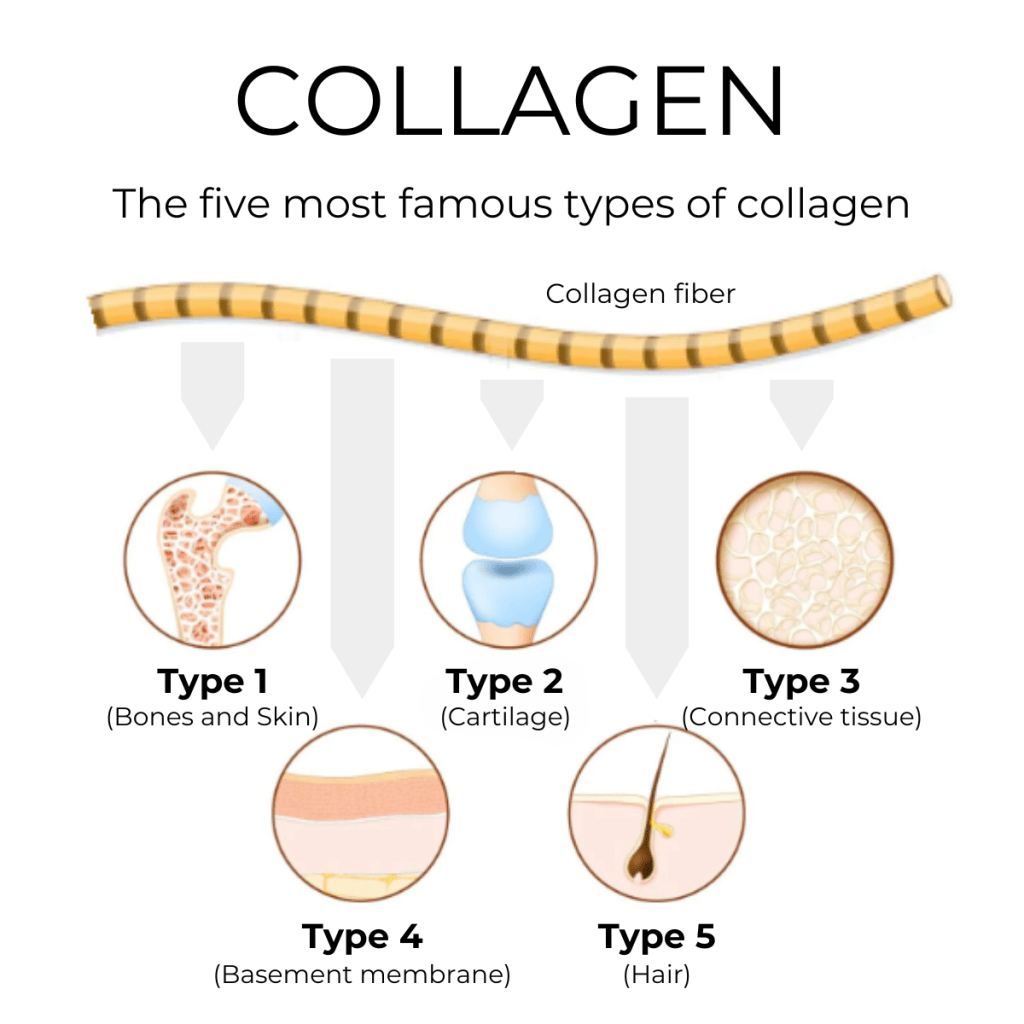 Collagen Powder Blend + Hyaluronic acid